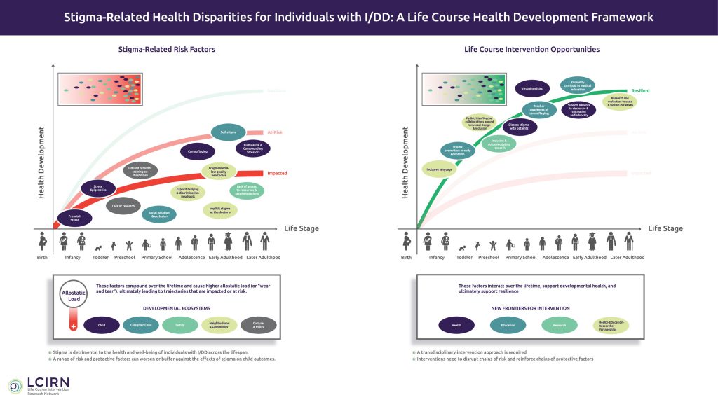 Diagram comparing stigma-related health risks across the life course with intervention opportunities for people with intellectual or developmental disabilities