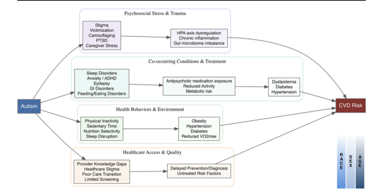 A Narrative Review of Cardiovascular Health in Autistic Individuals: Epidemiologic Evidence, Mechanistic Pathways, and Future Directions